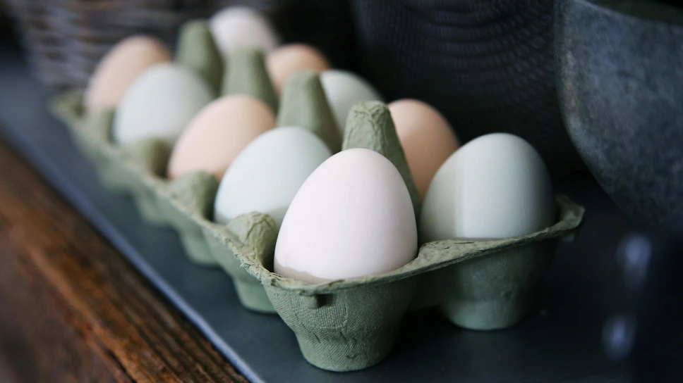 Chicken Eggs 12 Count