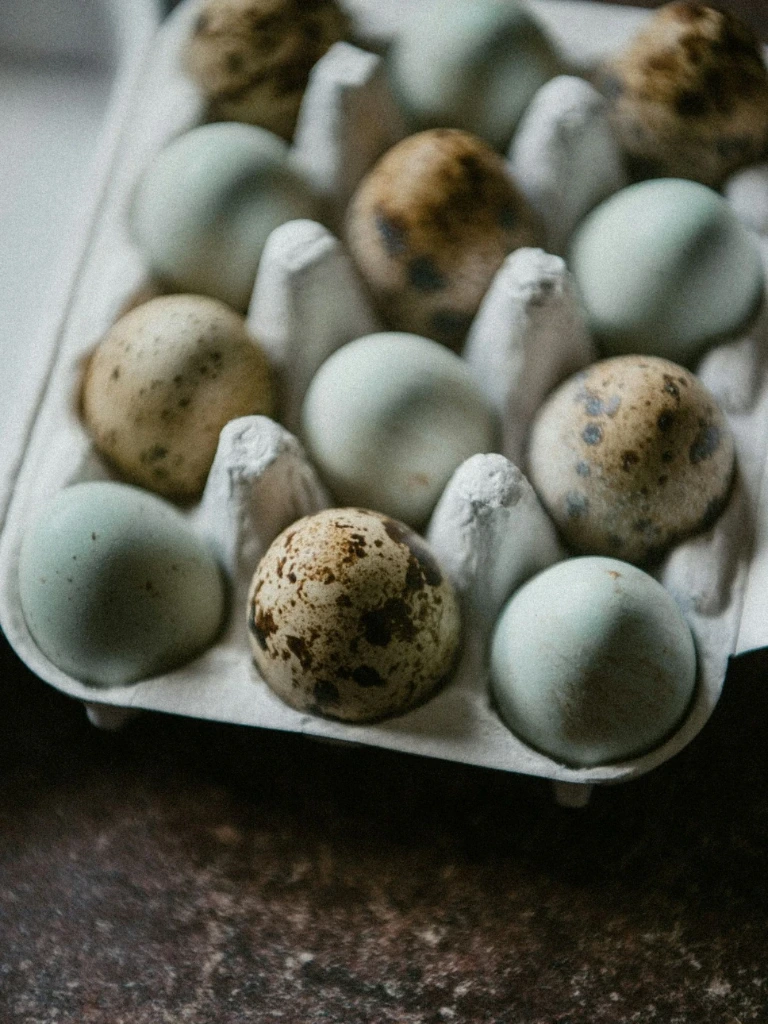 Quail Eggs 12 Count