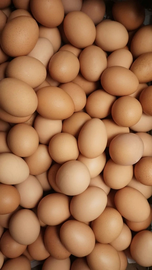 Chicken Eggs 30 Count